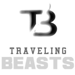 Book a flight with Traveling Beasts using Trip.Com portal and get our discounts!
